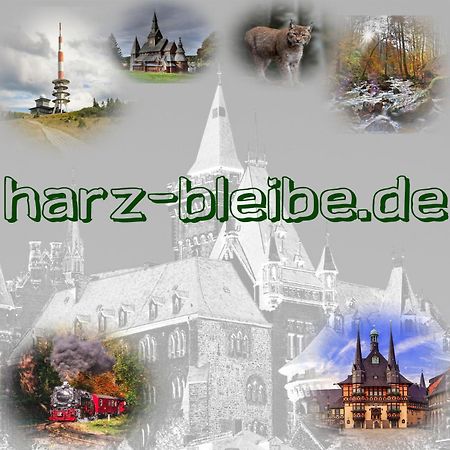Harz-Bleibe Wernigerode Apartment Exterior photo