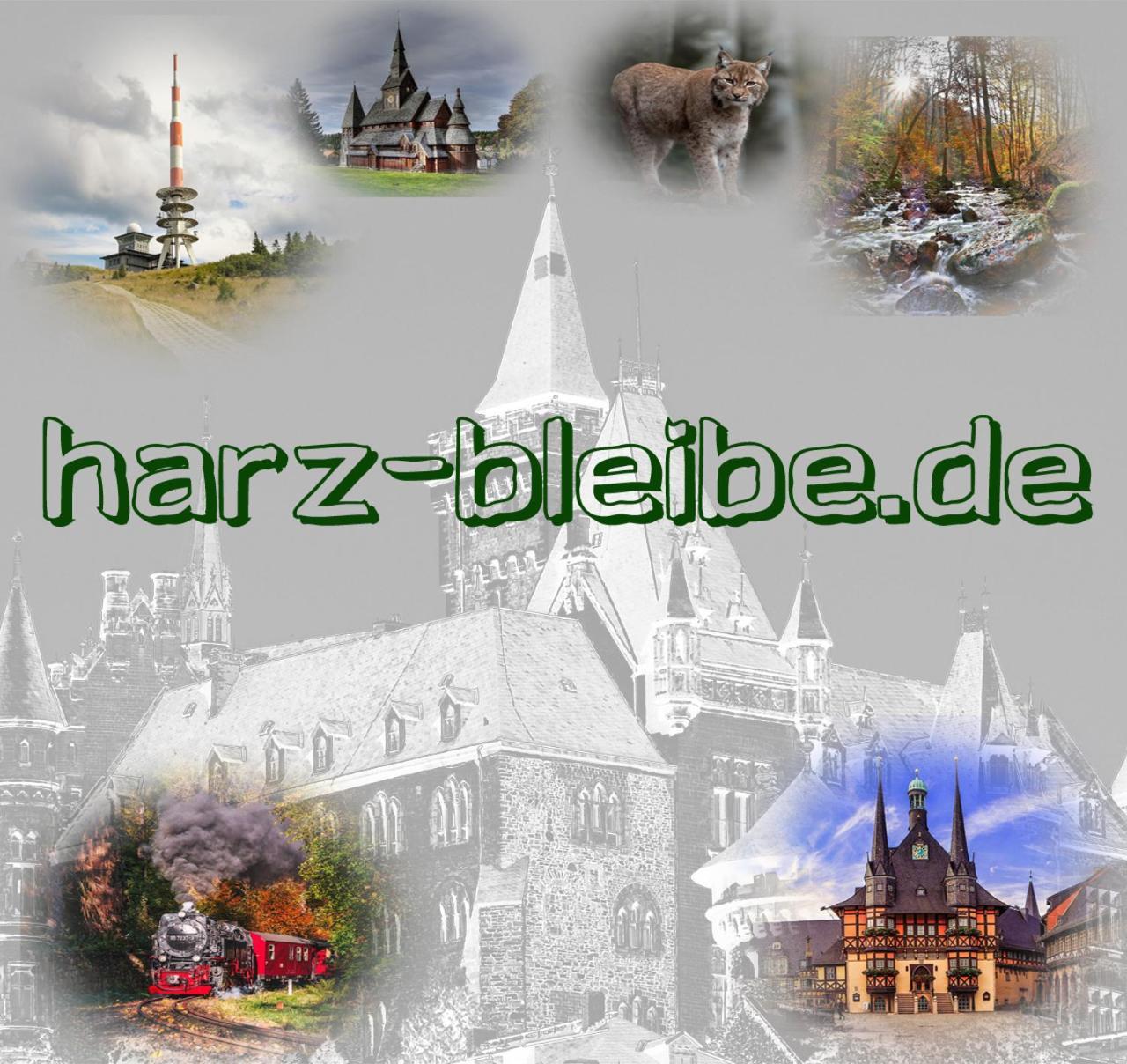 Harz-Bleibe Wernigerode Apartment Exterior photo